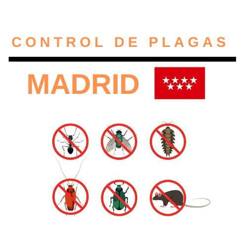 Control de Plagas Madrid