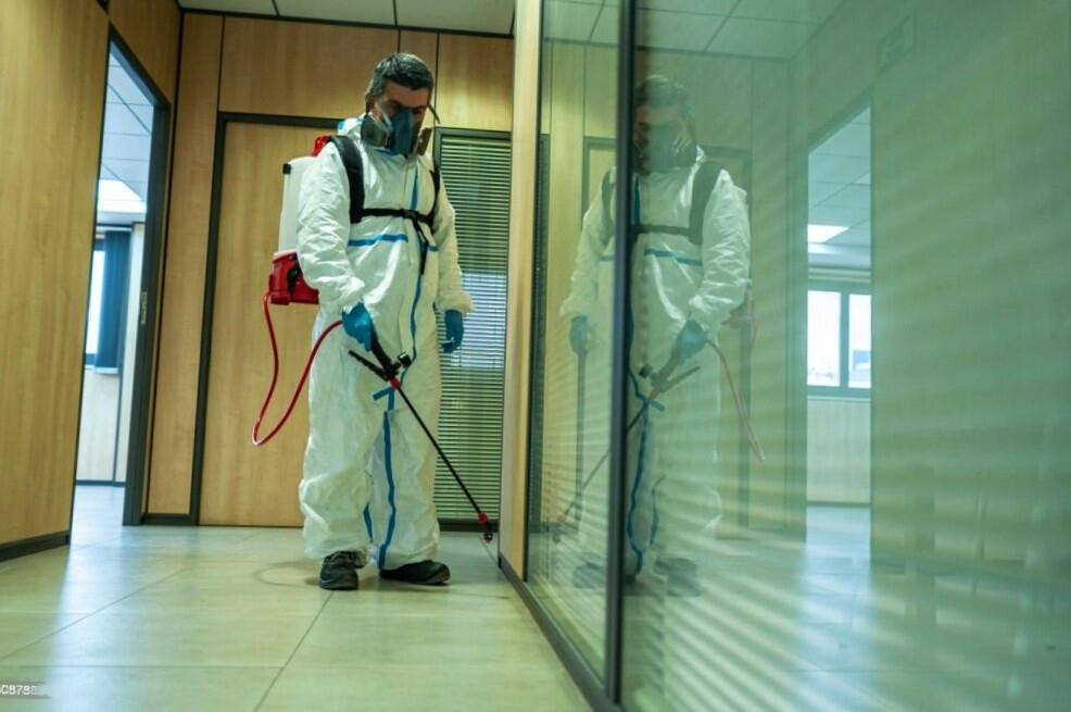 Desinsectación Vallecas